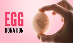 Egg Donation & Banking