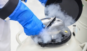 Cryopreservation of Eggs & Sperm