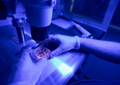 Cryopreservation & Storage