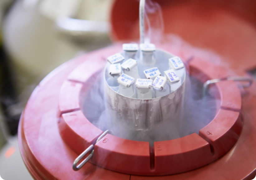 Embryo Cryopreservation