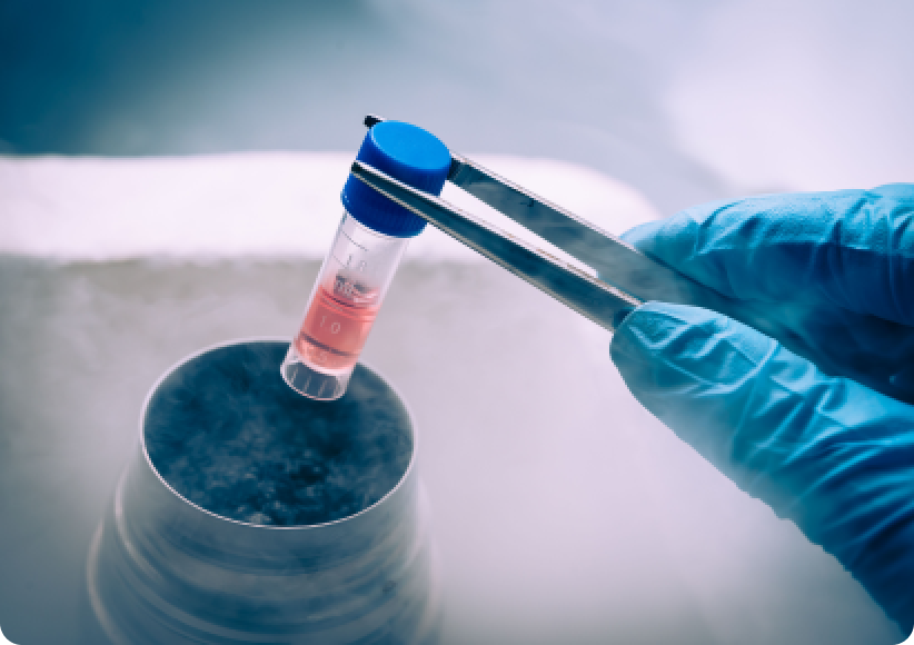Endometrial Preparation