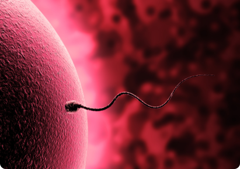 Teratozoospermia