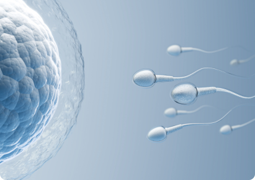 Fertility Preservation